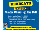 Baseball Clinics