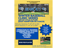 Baseball Clinics